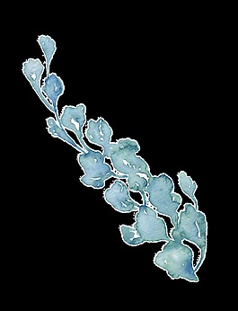 水墨畫(huà)風(fēng)信子花花朵素材