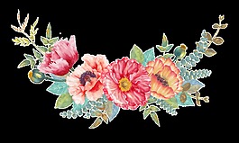 盛開(kāi)花叢透明素材