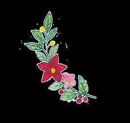 紅花枝葉透明素材