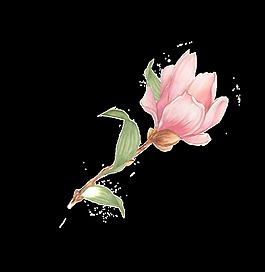 粉色绽放花卉png透明素材