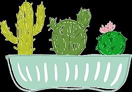仙人掌種植png透明素材