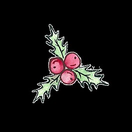 圣誕節(jié)元素植物png透明素材