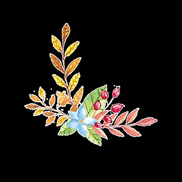落葉花朵透明素材