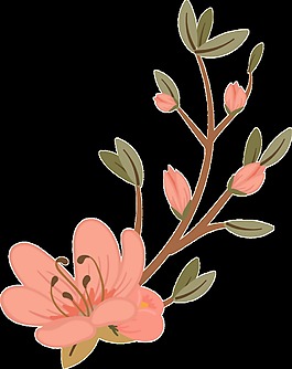 水彩桃花png透明素材