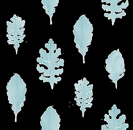 雪兰树叶透明素材