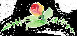 希望之花透明素材