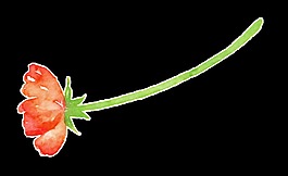 紅色碎花png透明素材