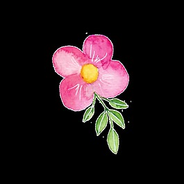 彩繪花叢透明素材