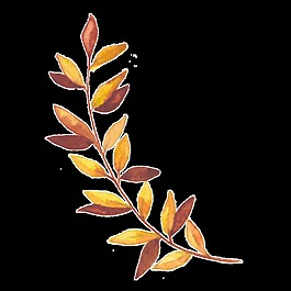 花黃枝葉透明素材
