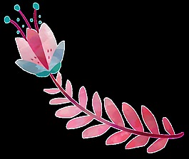 粉色可愛花卉png透明素材