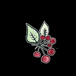 水果png透明素材