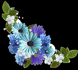 手繪藍(lán)色花卡片png透明素材