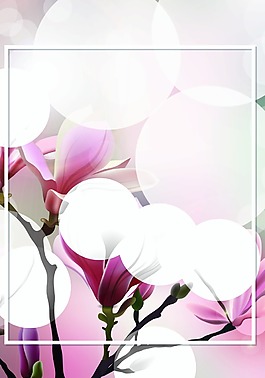 花卉小清新背景模版