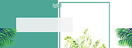 清新綠色植物banner背景素材