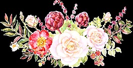 手繪唯美水彩月季花朵png透明素材