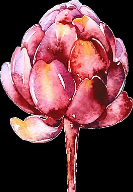 手绘卡通红色花朵png透明素材