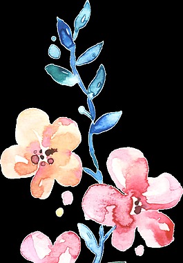 手繪春季盛開花朵png透明素材