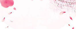 清新粉色花瓣banner背景素材
