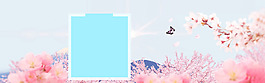清新粉色花朵banner背景素材