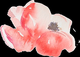 手繪藝術(shù)水彩花png透明素材