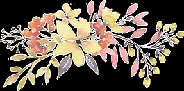手绘秋季新鲜美丽花卉png透明素材
