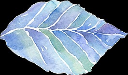 手繪藍(lán)色葉子png透明素材