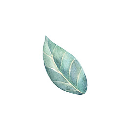 薄荷樹葉裝飾素材