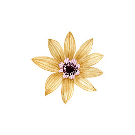 太陽(yáng)花裝飾素材