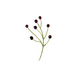 葡萄樹枝裝飾素材