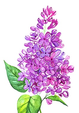魅力紫花矢量素材