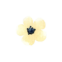 太陽(yáng)花矢量素材