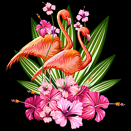 艷麗的花朵和仙鶴插畫