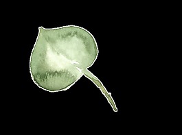 水彩一片葉png透明素材