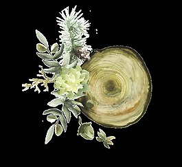 手繪花朵拼樹樁png透明素材