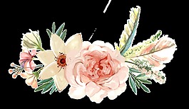 手绘娇滴滴粉红花朵png透明素材