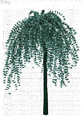 手繪翠綠垂葉大樹png透明素材