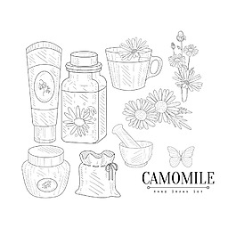 黑白線條植物護膚品插畫