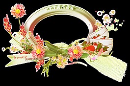 花草植物纏繞橢圓框架png透明素材