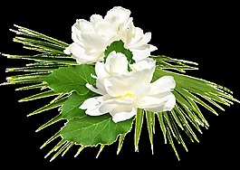 韓風淡雅兩朵花草花束png透明素材