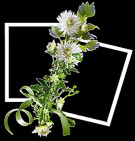 簡(jiǎn)約風(fēng)一束菊花花束png透明素材