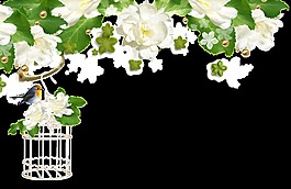 現(xiàn)代清新風(fēng)格白色花卉png透明素材