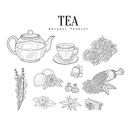 手绘线条绘水果茶静物