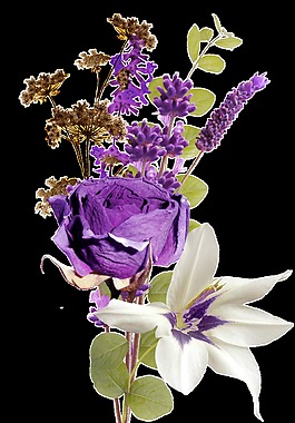 時(shí)尚高雅干花花束png透明素材