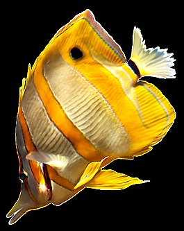手繪海底熱帶魚png透明素材