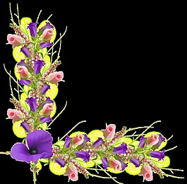 經(jīng)典簡(jiǎn)約鮮花裝飾花邊png透明素材