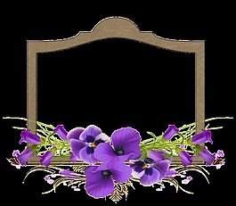簡約時(shí)尚花邊框架png透明素材
