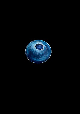 水果藍莓透明素材