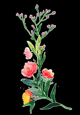自由花束透明素材