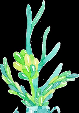 藍色植物與灑水透明素材