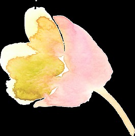 水墨涂鴉花卉透明素材